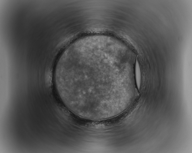 X0000096150640200802151355