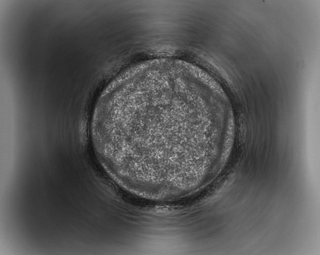 X0000096150641200802151355