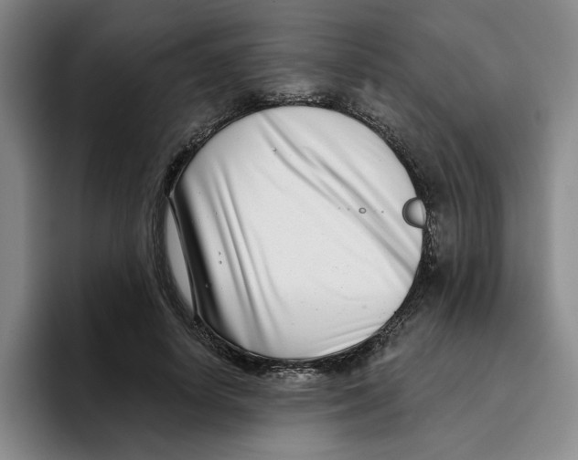 X0000096150642200802151355