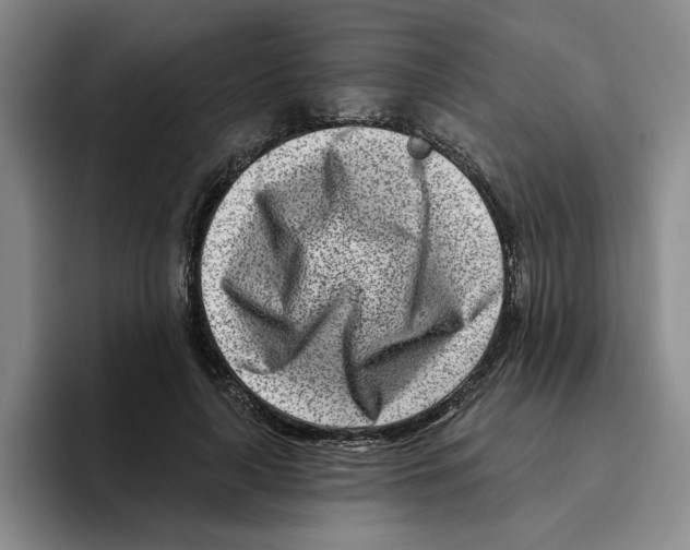 X0000096150643200802151355