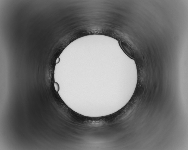 X0000096150645200802151355