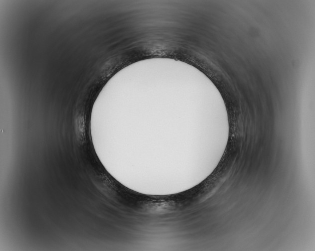 X0000096150646200802151355