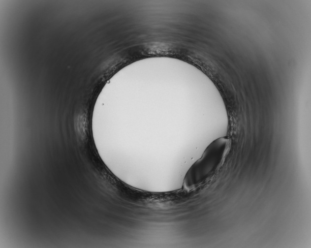 X0000096150648200802151355