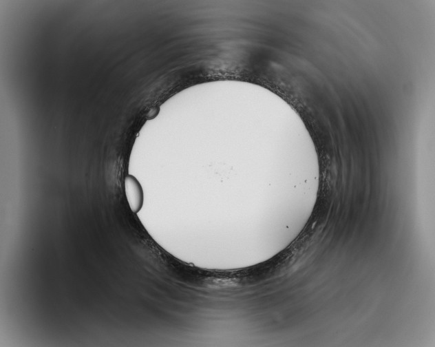 X0000096150649200802151355