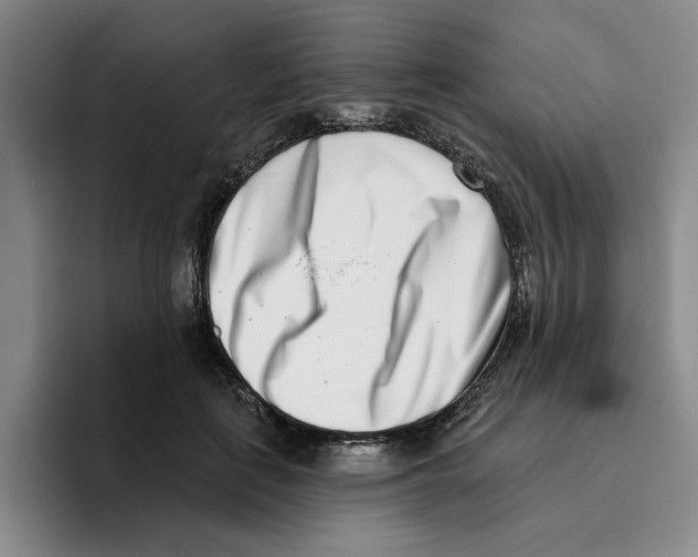 X0000096150651200802151355