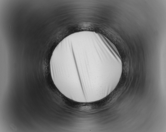 X0000096150653200802151355