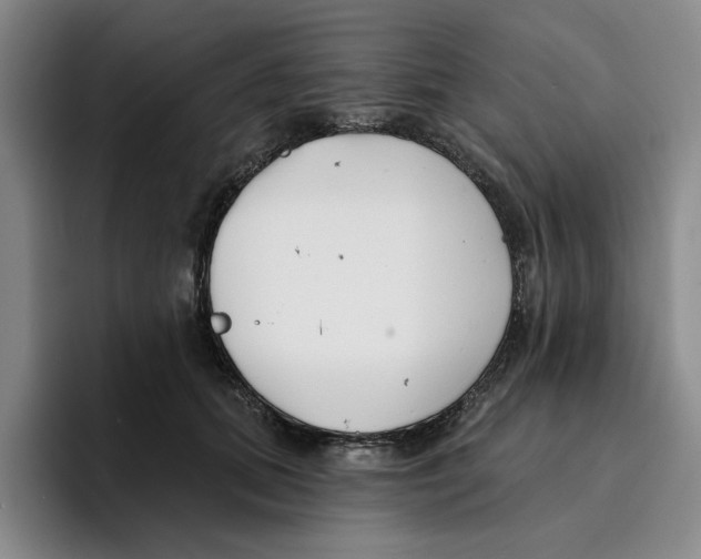 X0000096150655200802151355