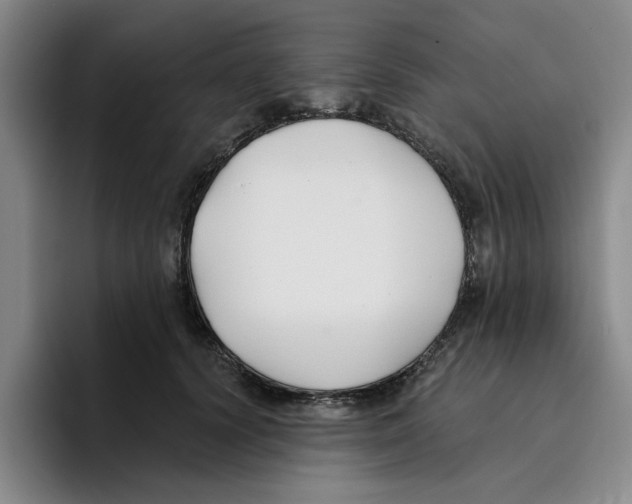 X0000096150656200802151355