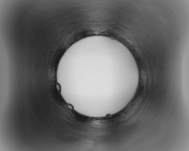 X0000096150657200802151355