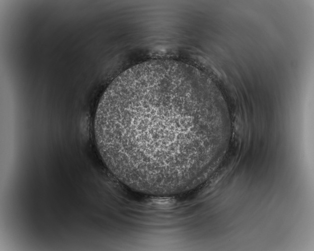 X0000096150659200802151355