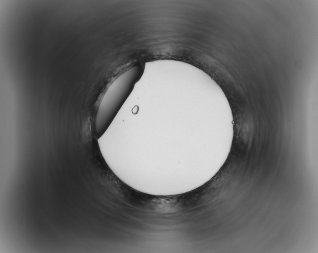 X0000096150660200802151355