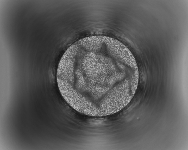 X0000096150661200802151355