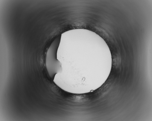 X0000096150662200802151355