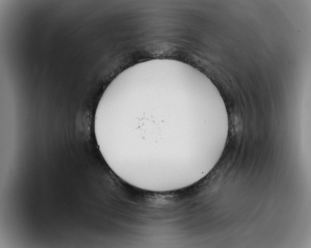 X0000096150664200802151355