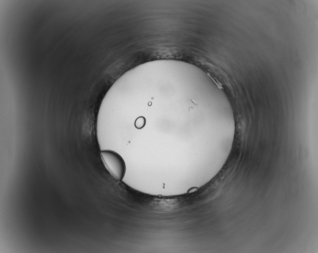 X0000096150665200802151355