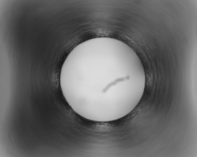 X0000096150666200802151355