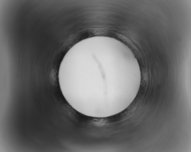 X0000096150667200802151355