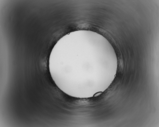 X0000096150668200802151355