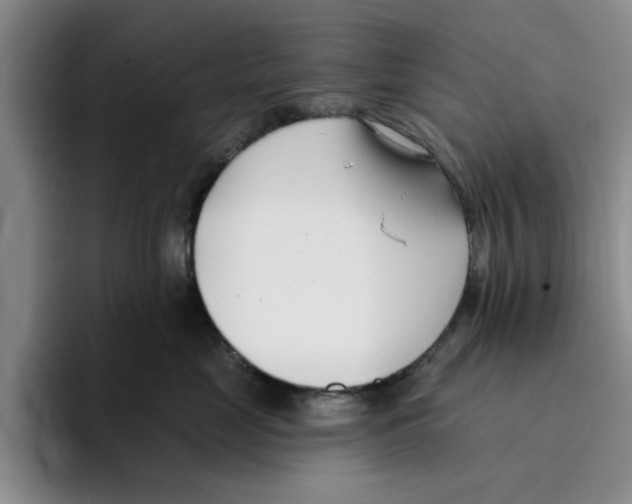 X0000096150669200802151355