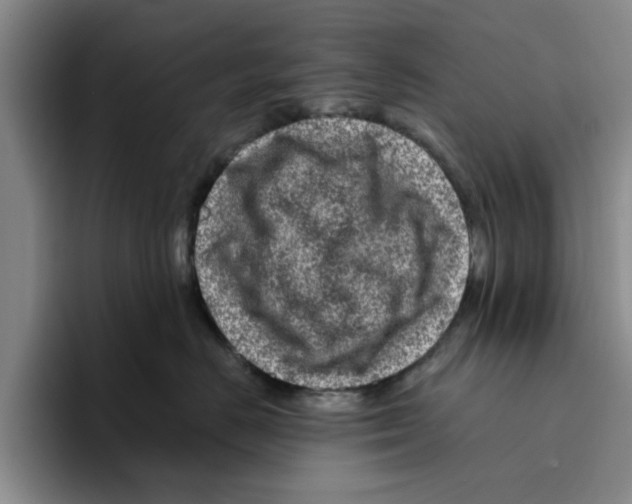 X0000096150670200802151355