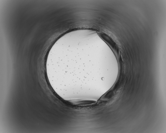 X0000096150673200802151355