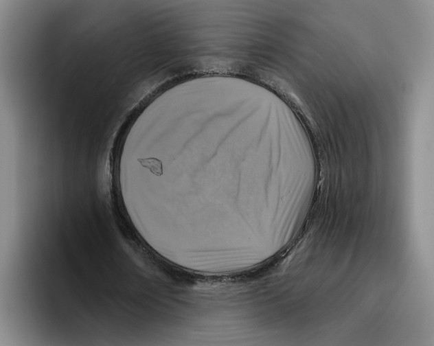 X0000096150674200802151355