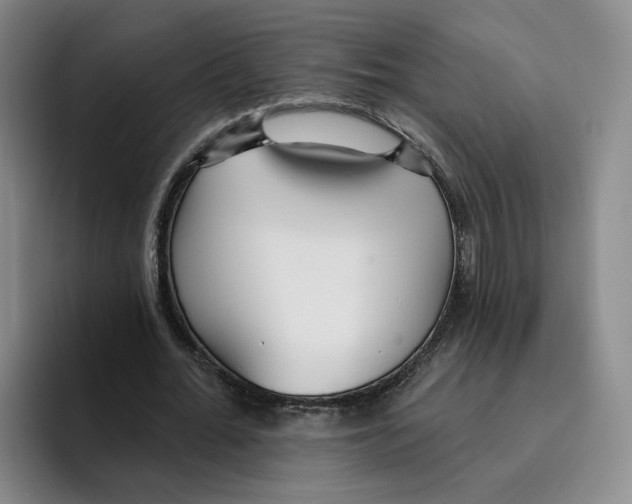 X0000096150676200802151355