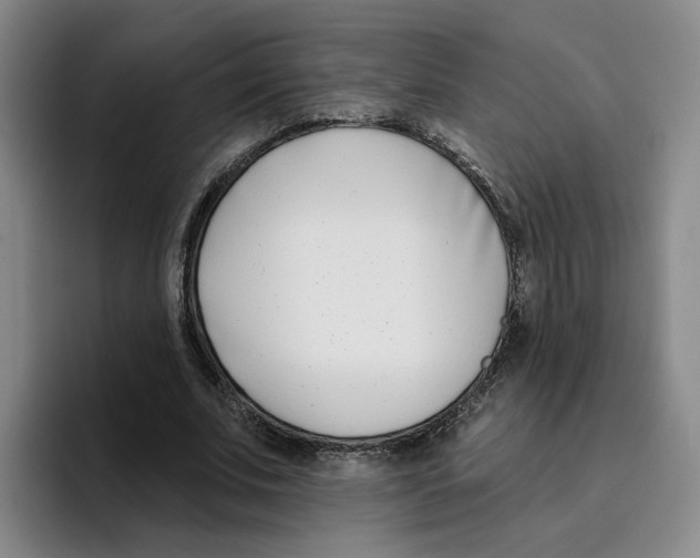 X0000096150679200802151355