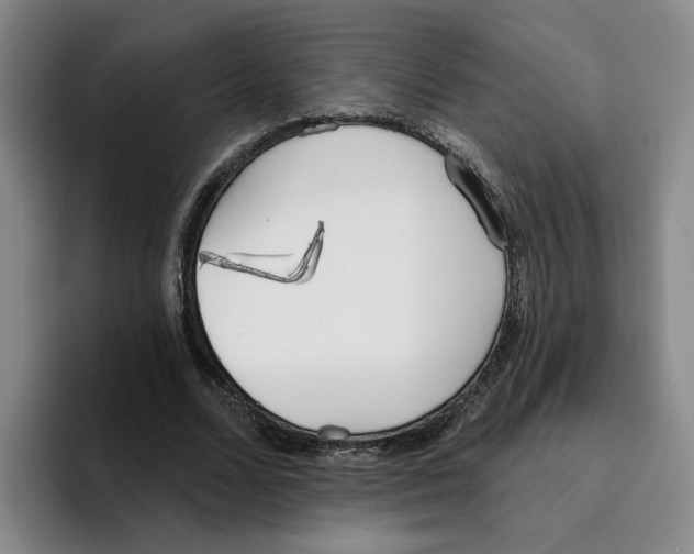 X0000096150680200802151355