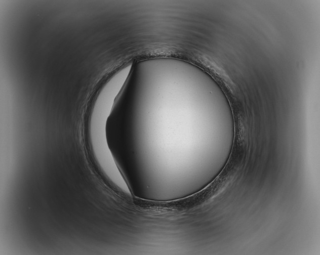 X0000096150681200802151355