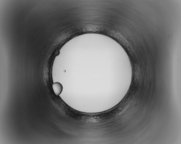 X0000096150683200802151355