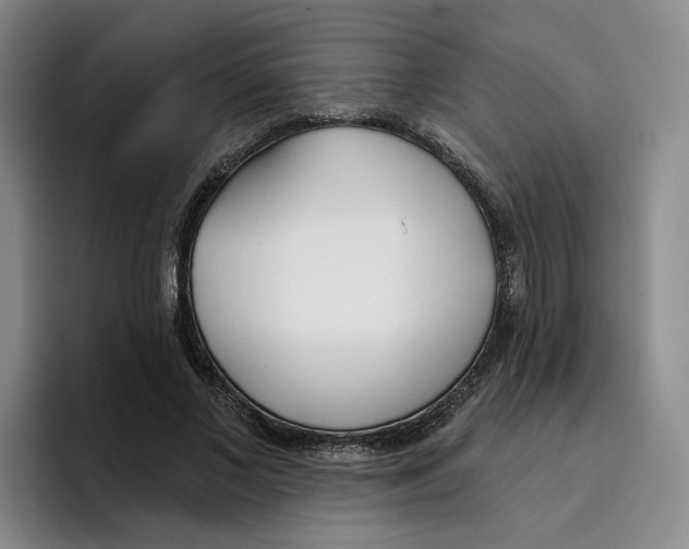 X0000096150685200802151355