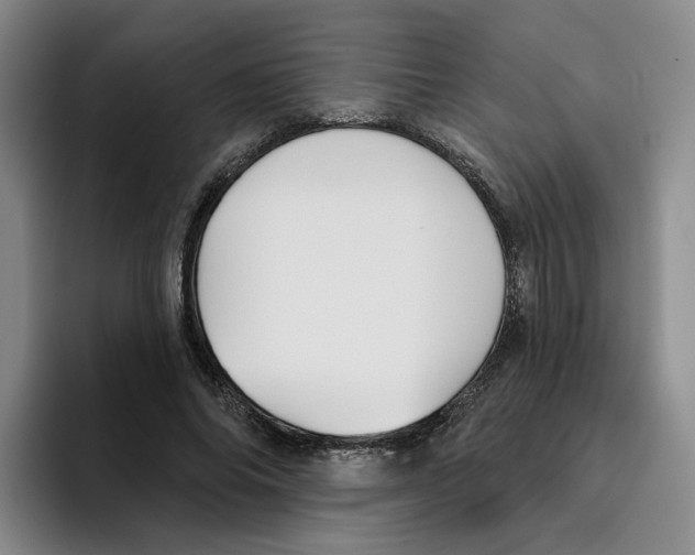 X0000096150686200802151355