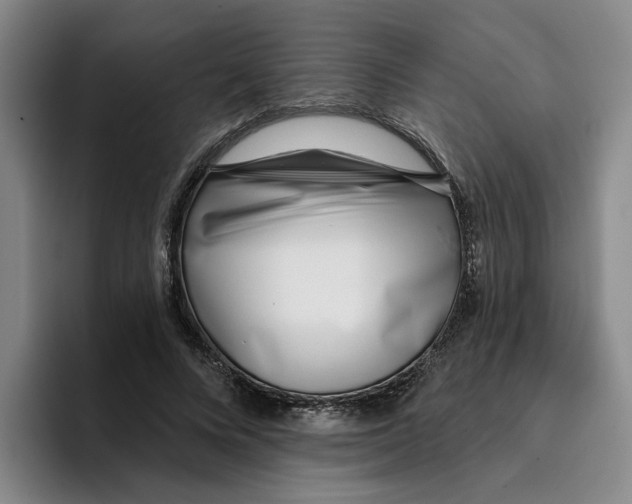 X0000096150688200802151354