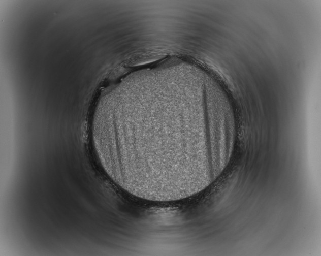 X0000096150689200802151354