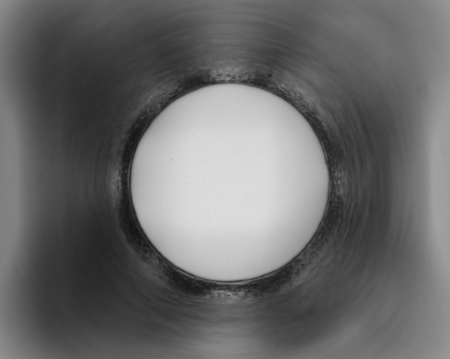 X0000096150690200802151354