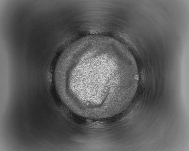 X0000096150691200802151354