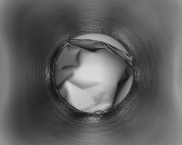 X0000096150692200802151354