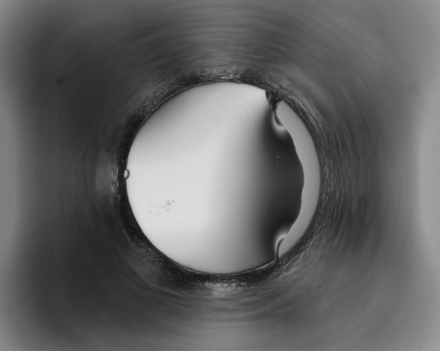 X0000096150693200802151354