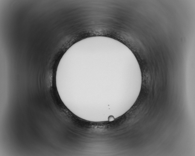 X0000096150694200802151354