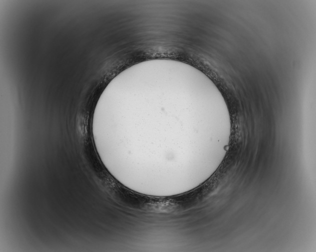 X0000096150695200802151354