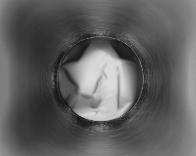 X0000096150696200802151354