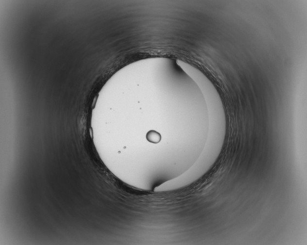 X0000096150697200802151354