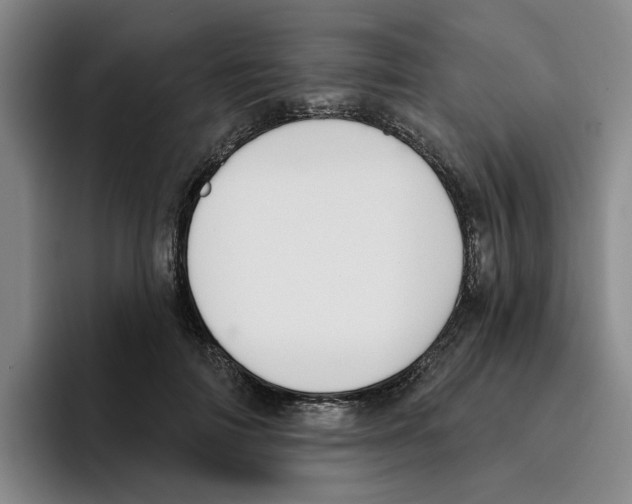 X0000096150698200802151354