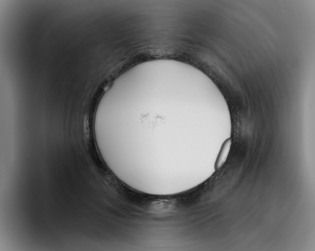 X0000096150700200802151354