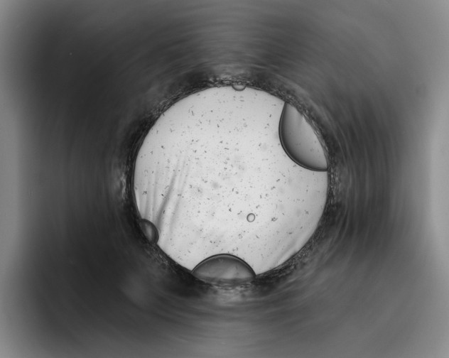 X0000096150703200802151354