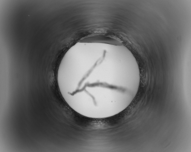 X0000096150704200802151354