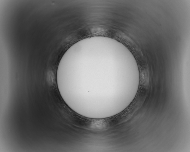 X0000096150705200802151354