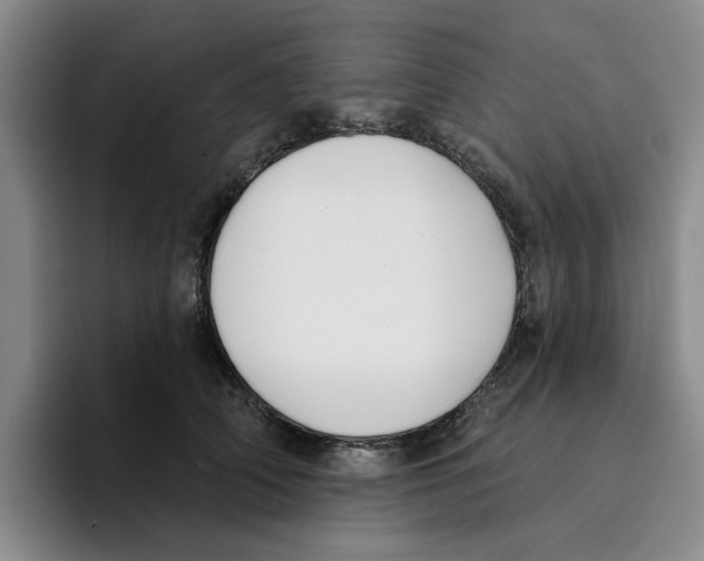 X0000096150706200802151354