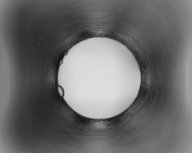 X0000096150710200802151354